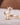 14k Yellow Gold Key Ring - VarVar Jewelry