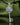 Key Pendant with Bird and Flowers Sterling Silver Jewelry - VarVar Jewelry