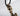 Thor's Hammer Pendant Bronze Mjolnir aka Olaf Cross or Wolf Cross